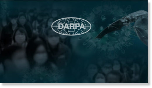 darpa gene editing
