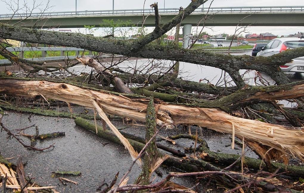 Click to enlarge moscow wind storm march 2020