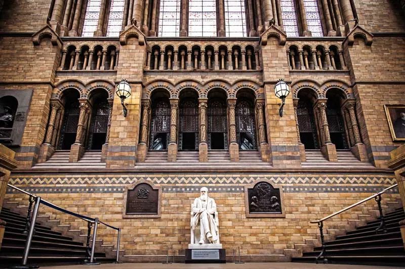 darwin statue