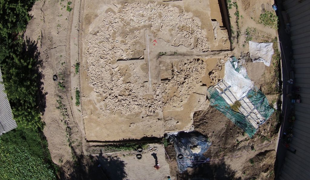Click to enlarge mammoth structure