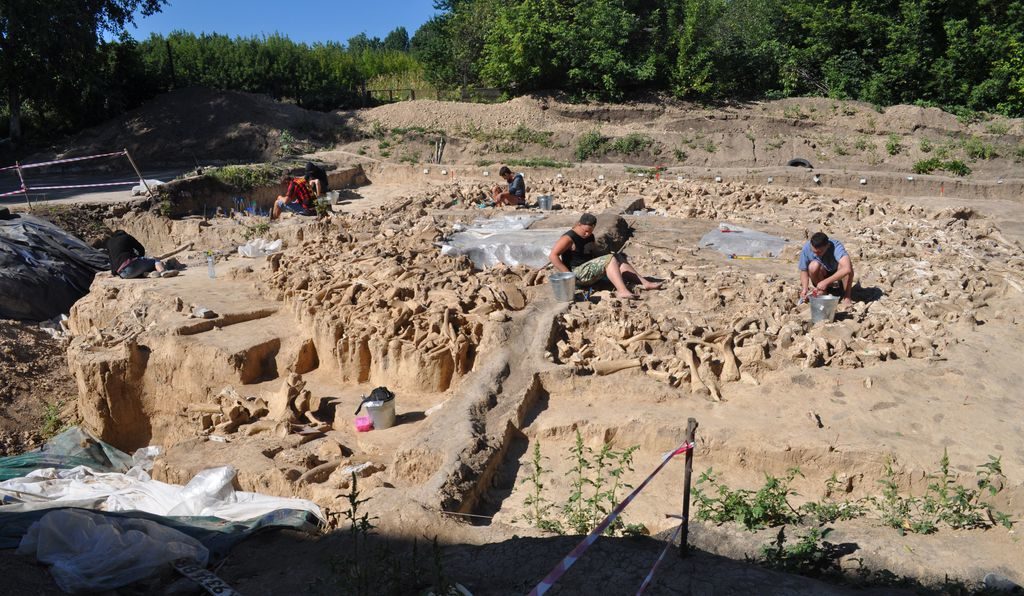 Click to enlarge mammoth structure
