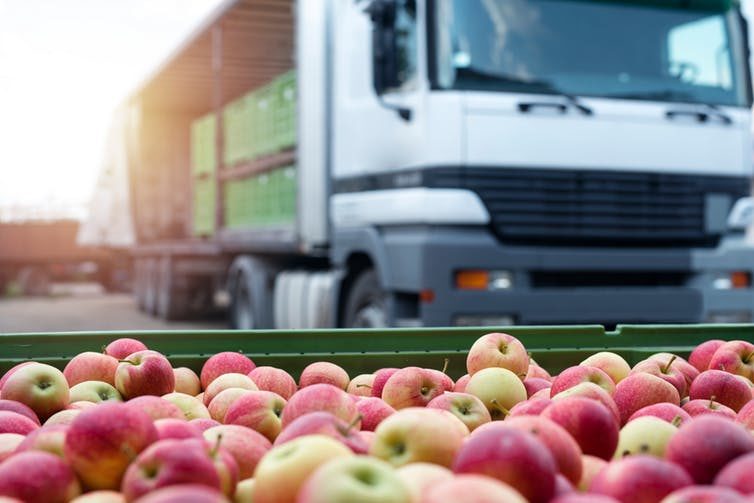 Click to enlarge apples, food trucks, food delivery
