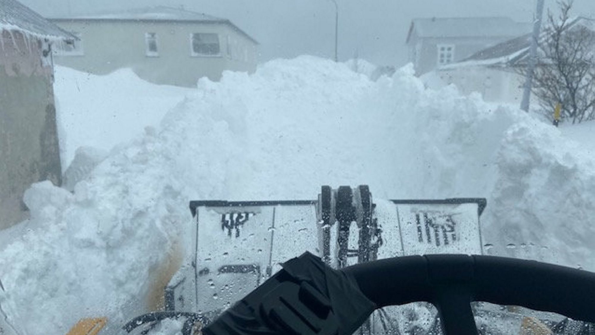 Click to enlarge snow