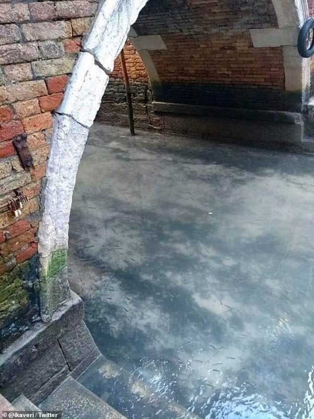 venice canal clean