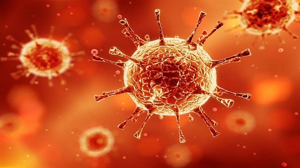 Virus