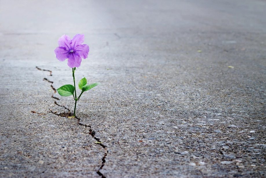 Hope springs eternal – if you nurture it.