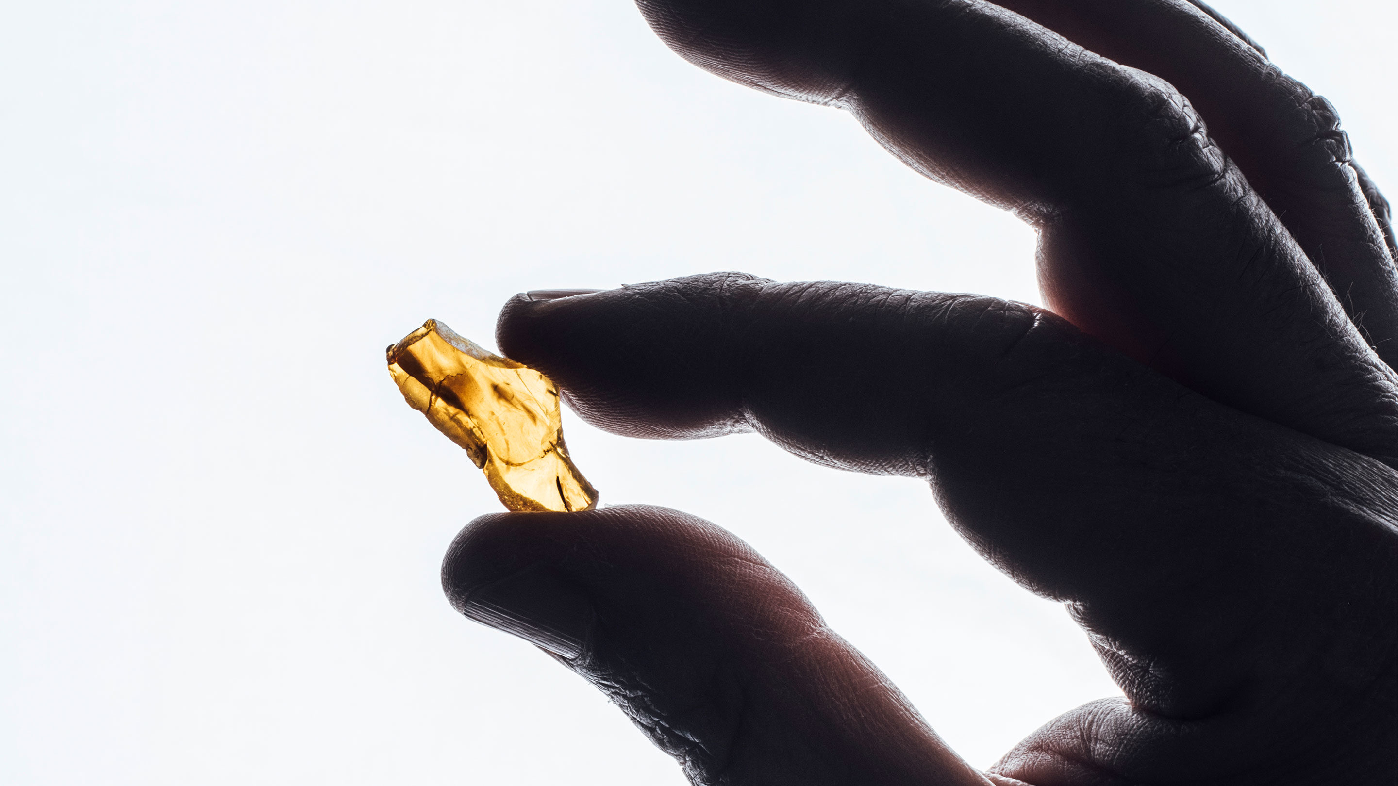 fossilized amber glass shard