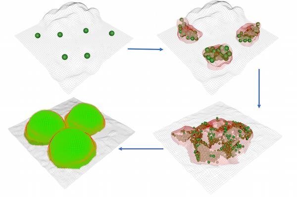 Click to enlarge bacteria