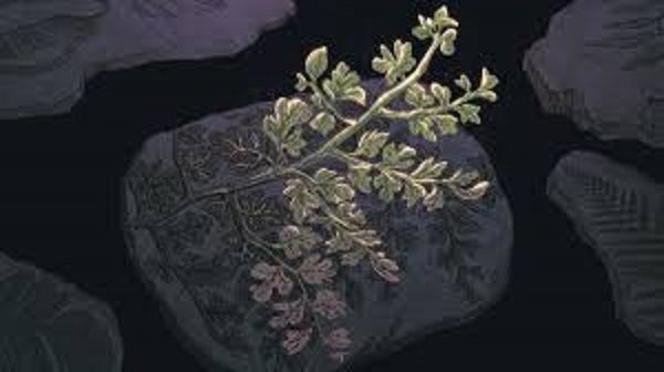 Click to enlarge Extinct plant