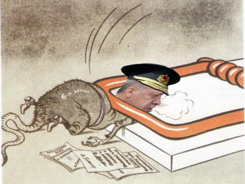 erdogan mouse trap
