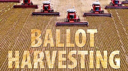 ballot harvest