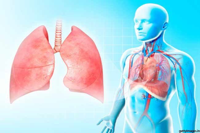 Click to enlarge respiratory system