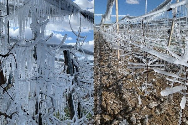 frost