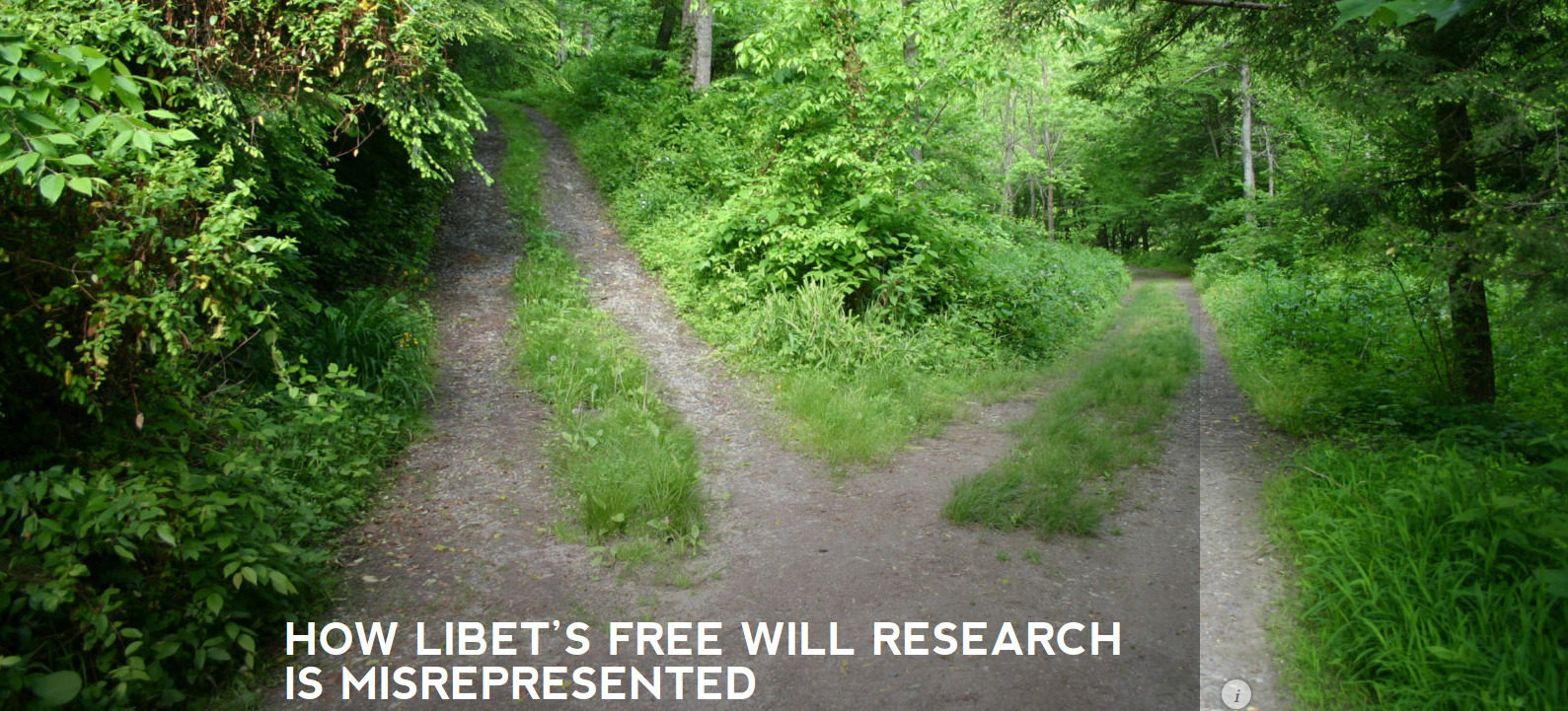 free will
