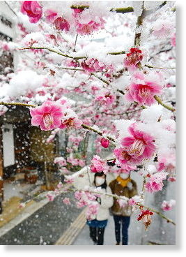 Click to enlarge snow