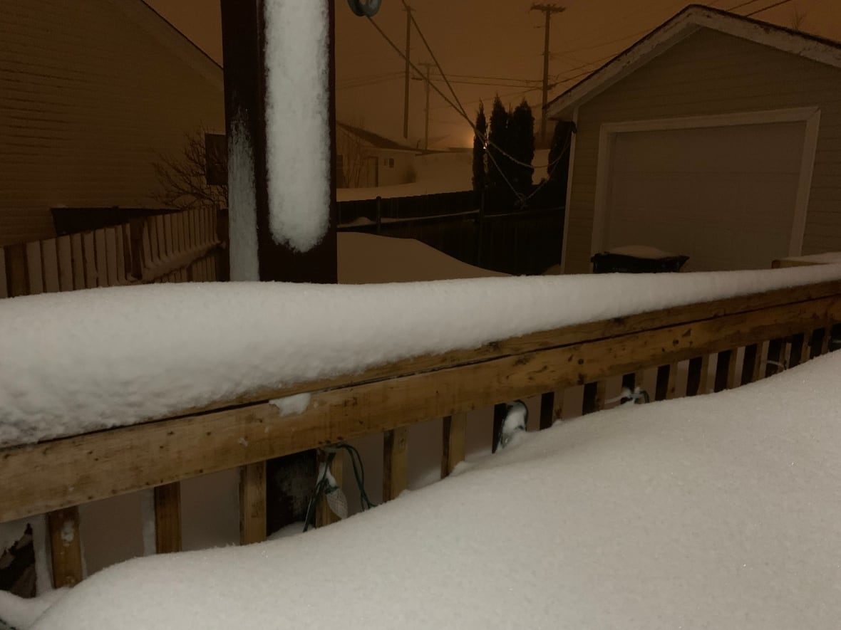 About 17 centimetres of snow fell on St. John's Tuesday night.