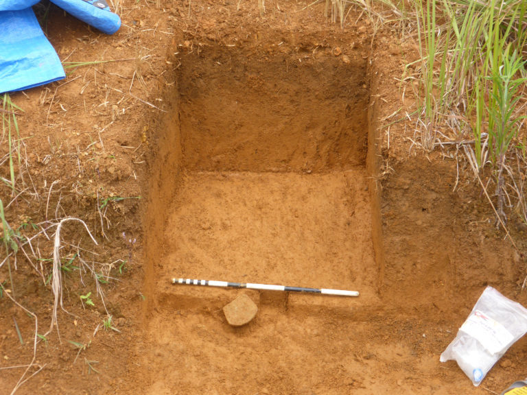 neolithic new guinea