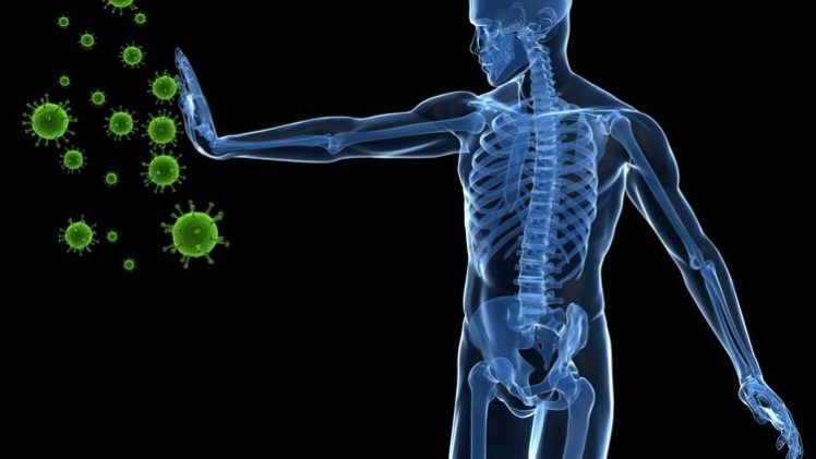 Click to enlarge immune system, immunity