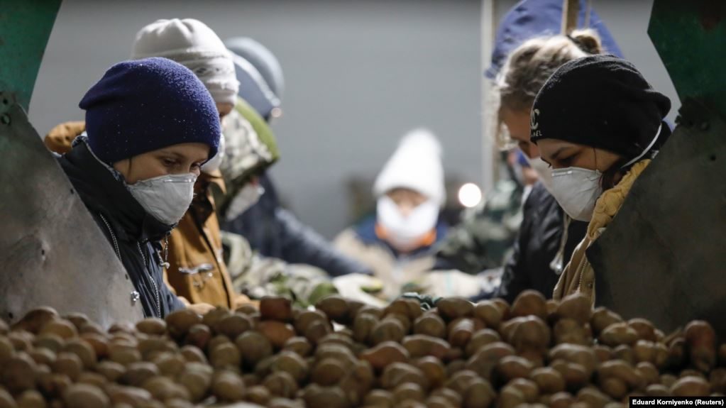 russian employees