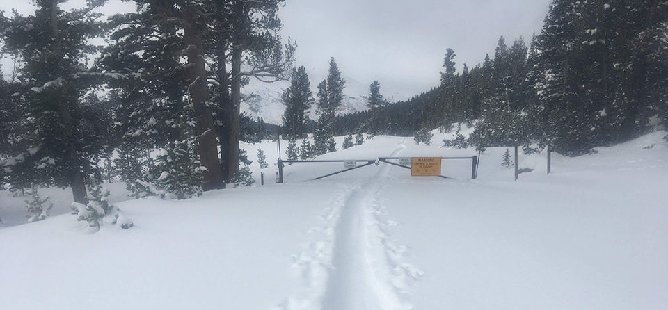 Gate closed at Tioga Pass on March 20, 2020.