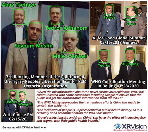 WHO Chief Tedros Adhanom connections