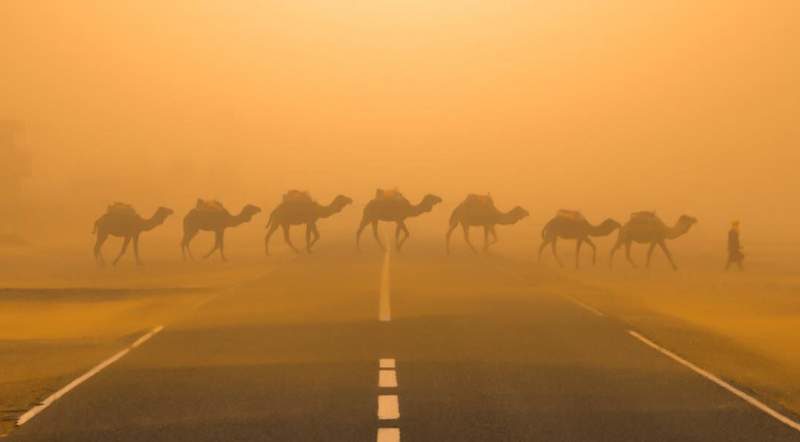 sandstorm