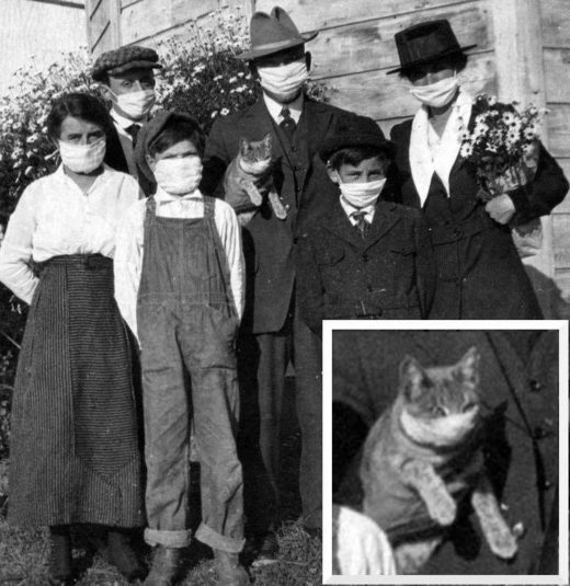 Click to enlarge Don't forget the cat