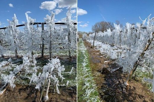 Poland frosts