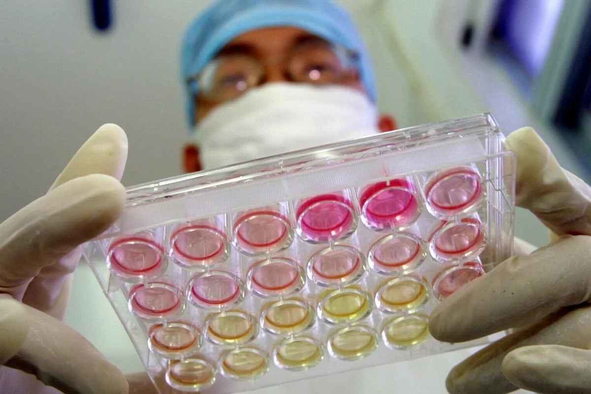 Click to enlarge coronavirus lab sample