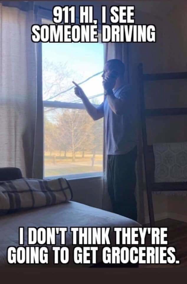 snitches