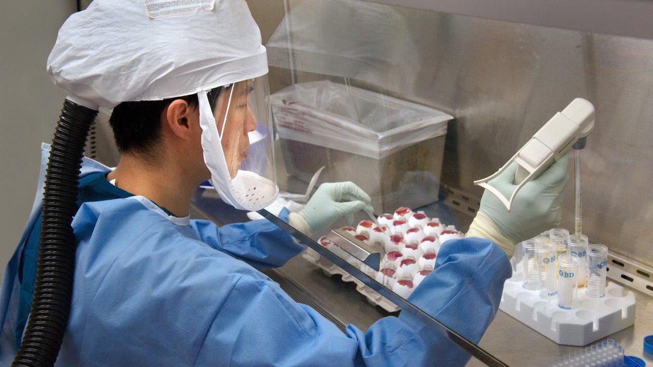 bird avian flu research DCD