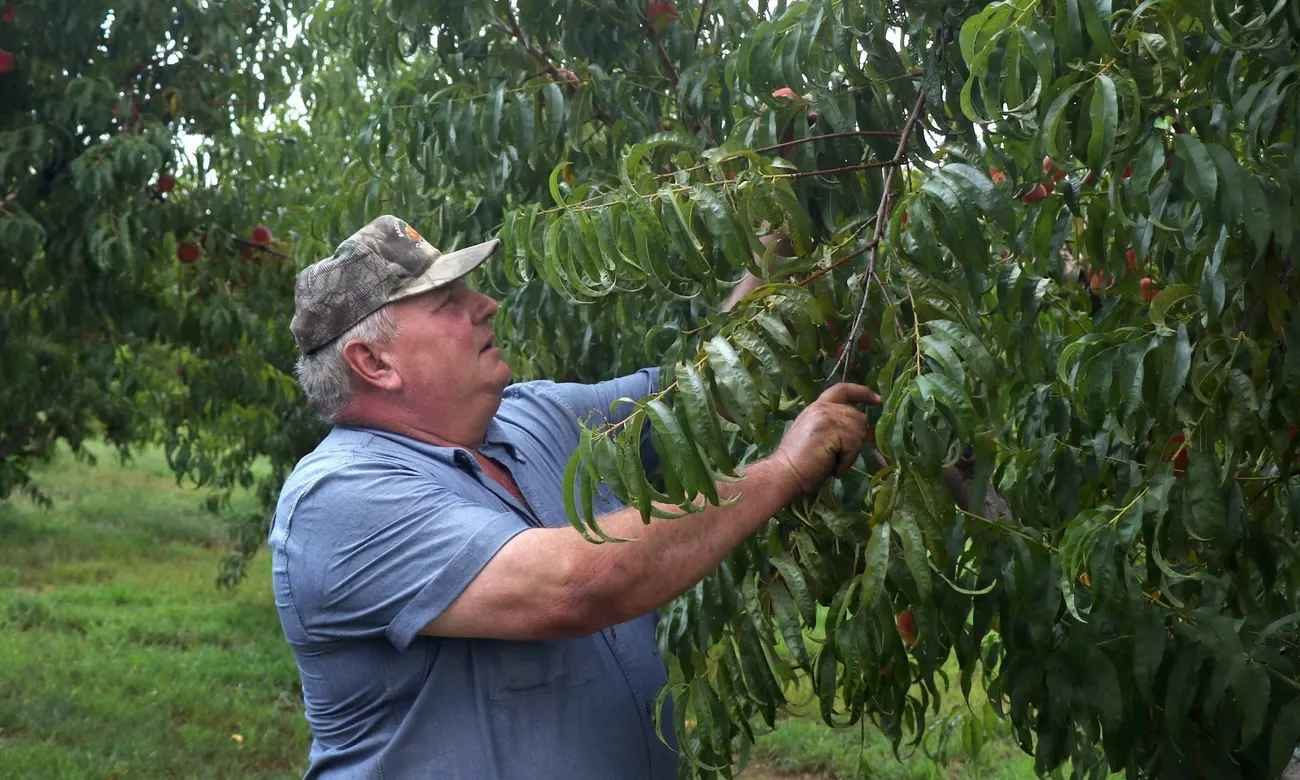 Click to enlarge Missouri farmer Bill Bader