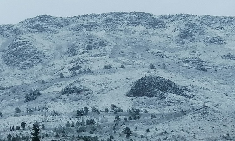 Click to enlarge snow