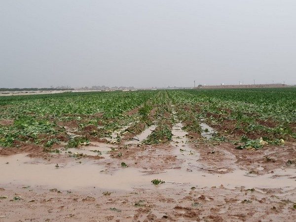 floods
