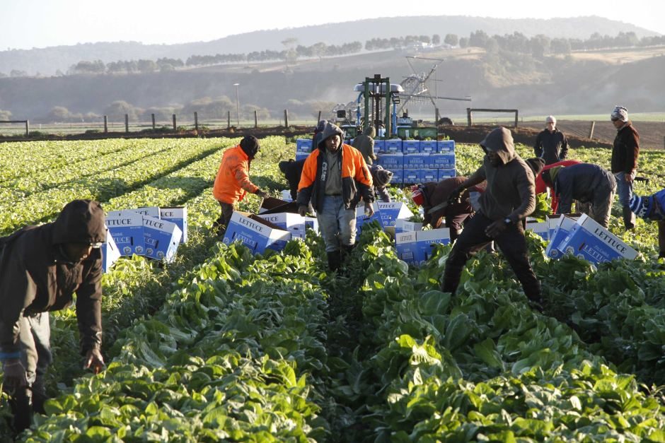 seasonal workers