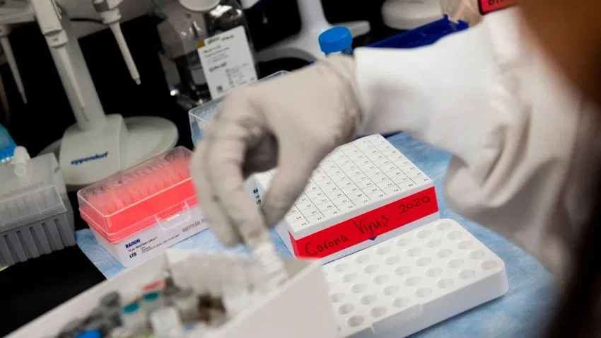 coronavirus