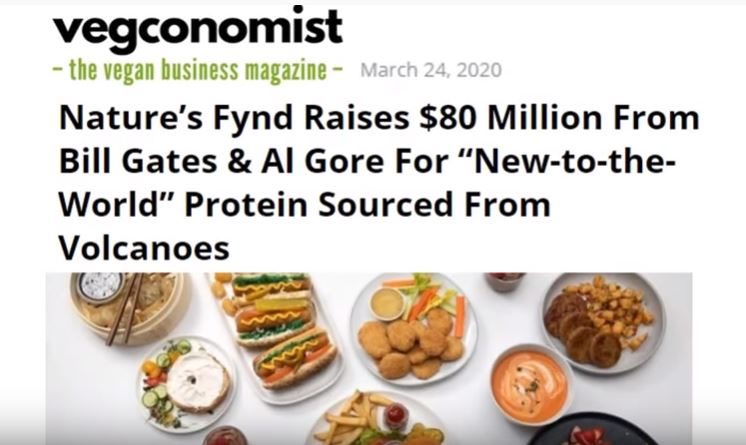 Volcano protein for vegans
