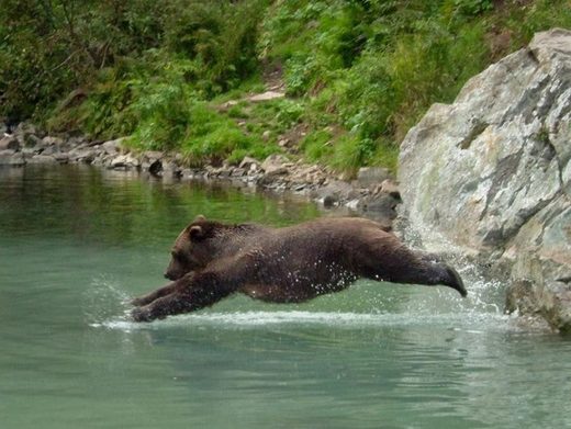 Click to enlarge Swimming is good for you
