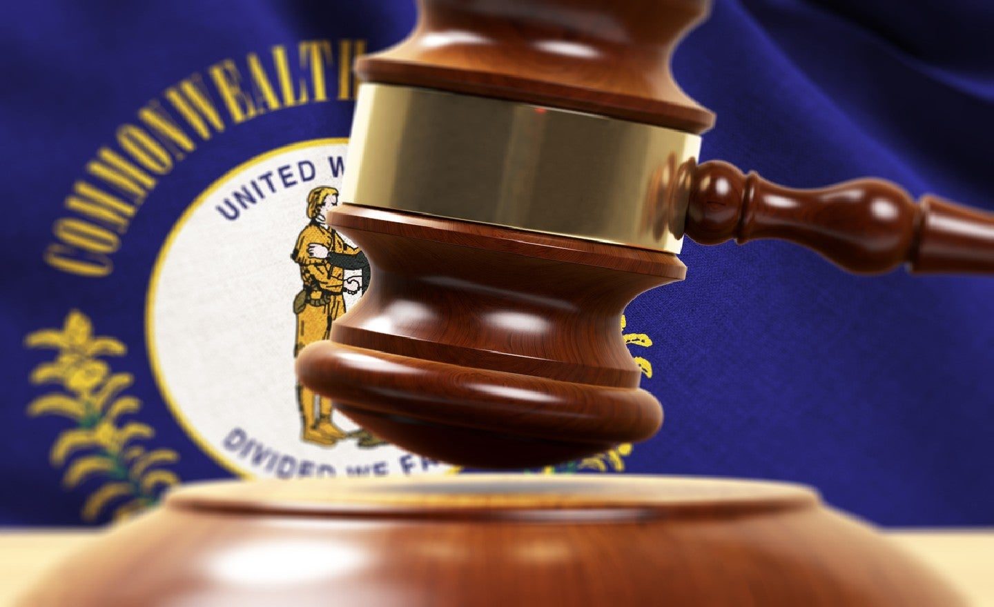 Click to enlarge judge
