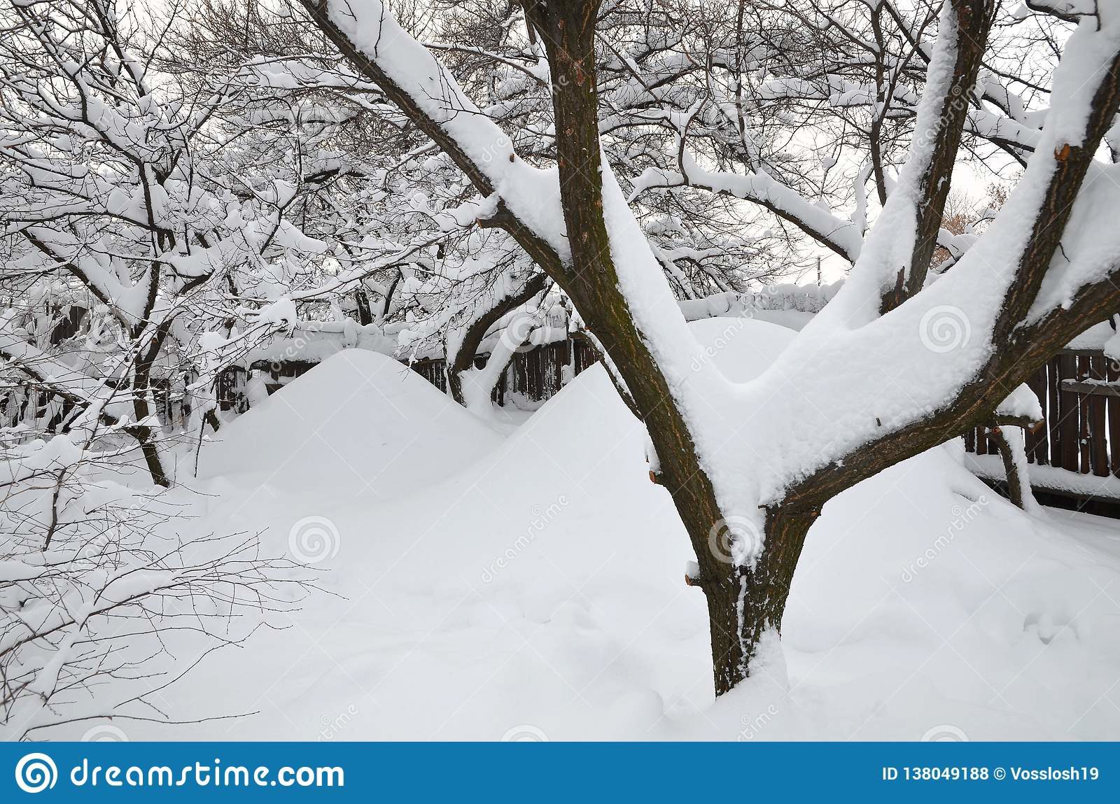 snow