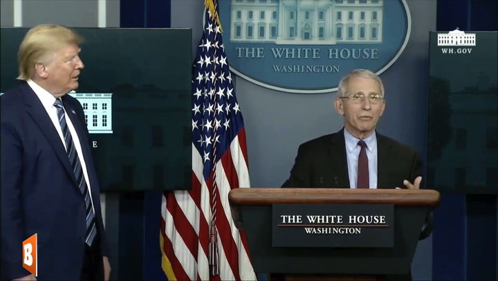 Click to enlarge trump fauci