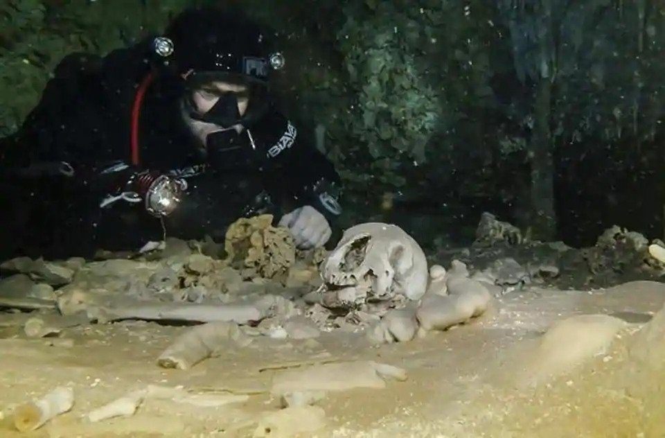 Click to enlarge underwater cave mexico human fossils mayans