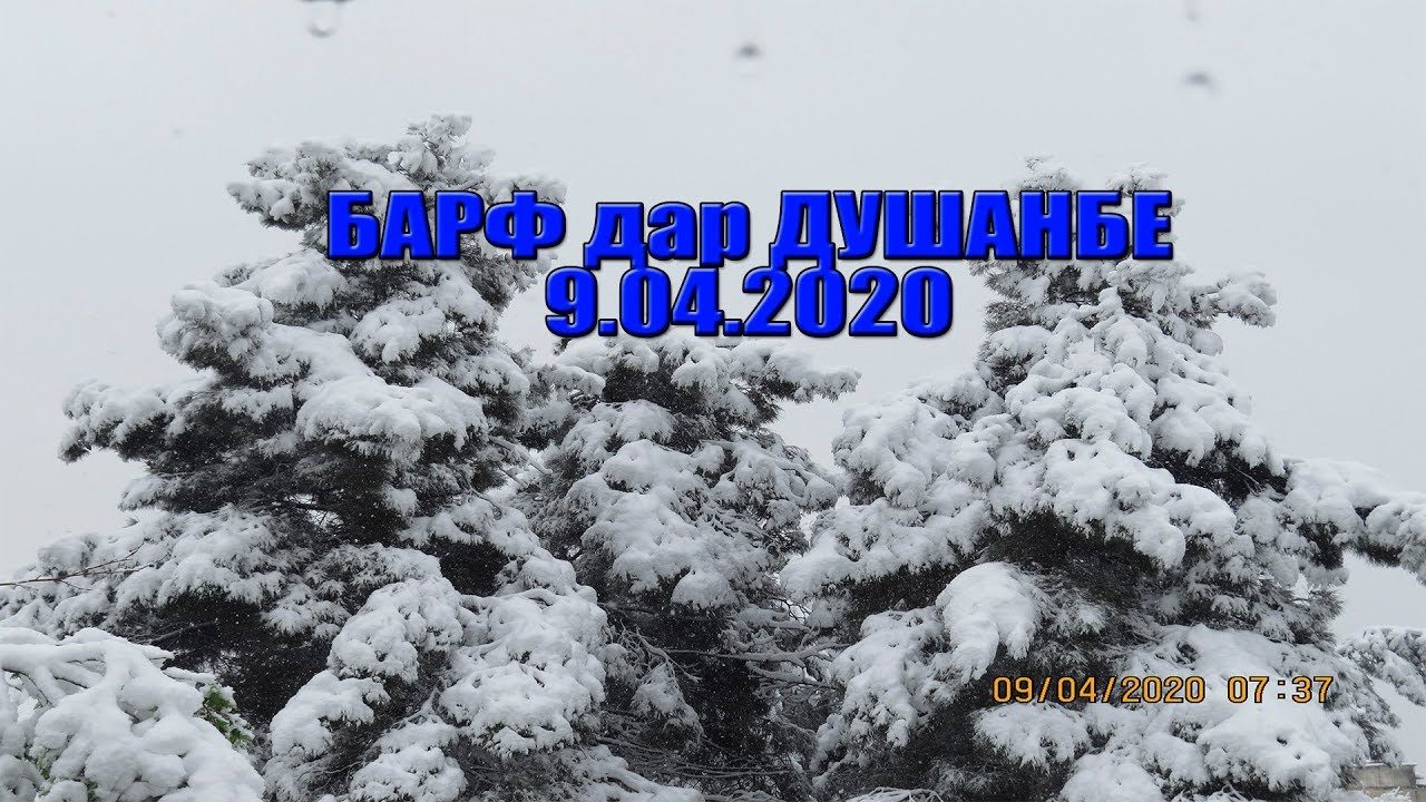 snow