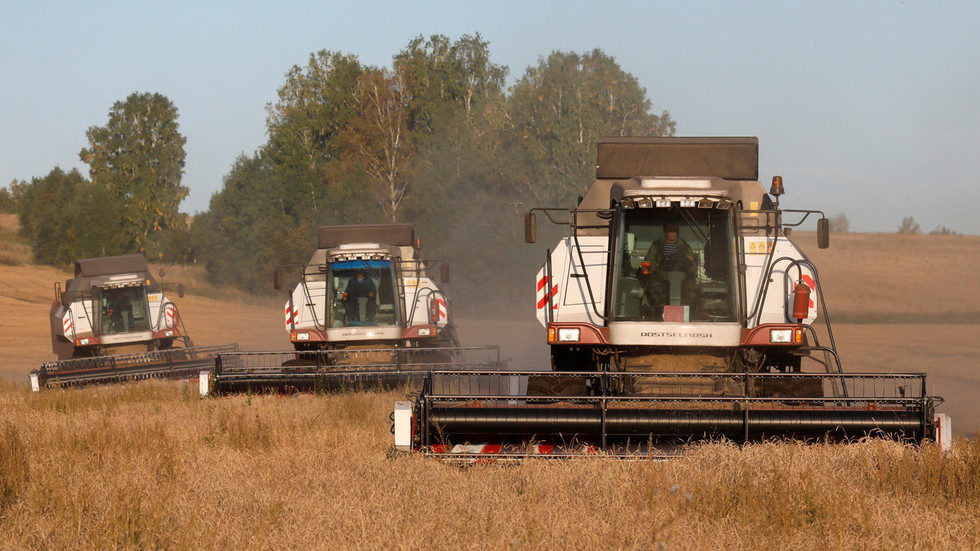 Combines harvest wheat