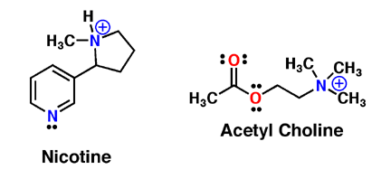 nicotine acetylcholine