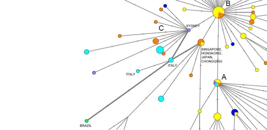 Click to enlarge coronavirus origins chart genetic