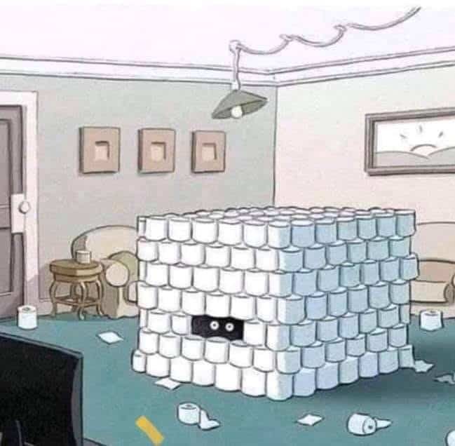 Click to enlarge toilet paper meme
