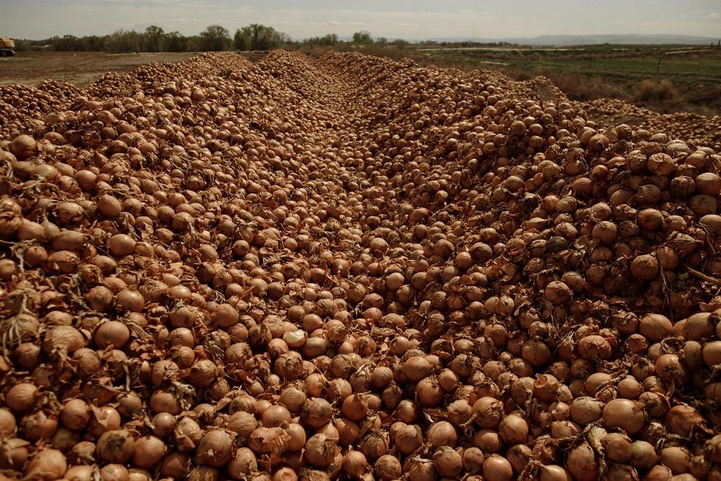 Click to enlarge onions food dumped covid-19