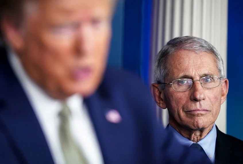 Click to enlarge trump and fauci