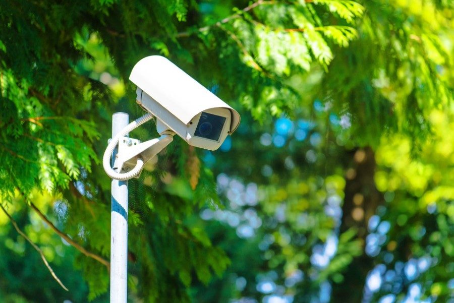 surveillance